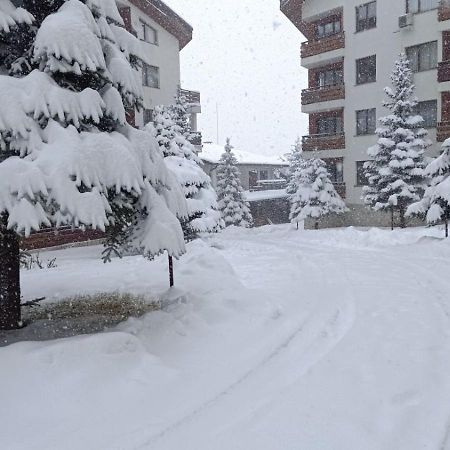 Studio Detelina Residence Bansko Eksteriør billede