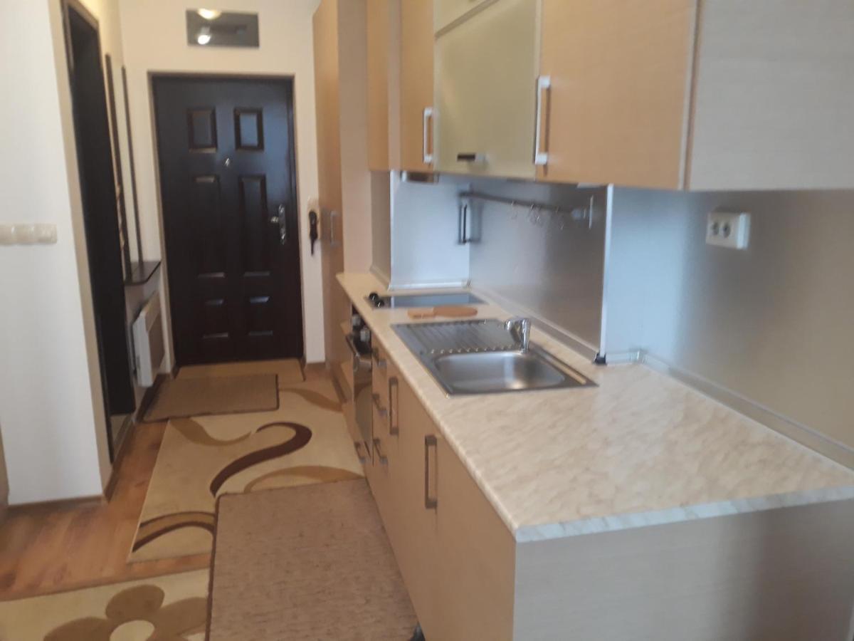 Studio Detelina Residence Bansko Eksteriør billede