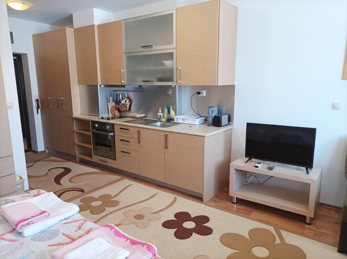 Studio Detelina Residence Bansko Eksteriør billede