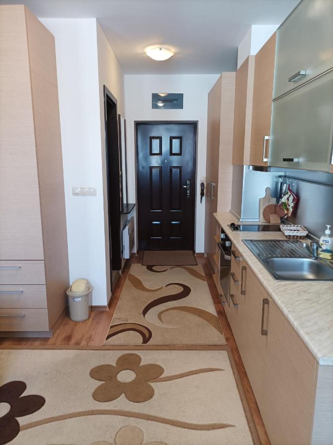 Studio Detelina Residence Bansko Eksteriør billede