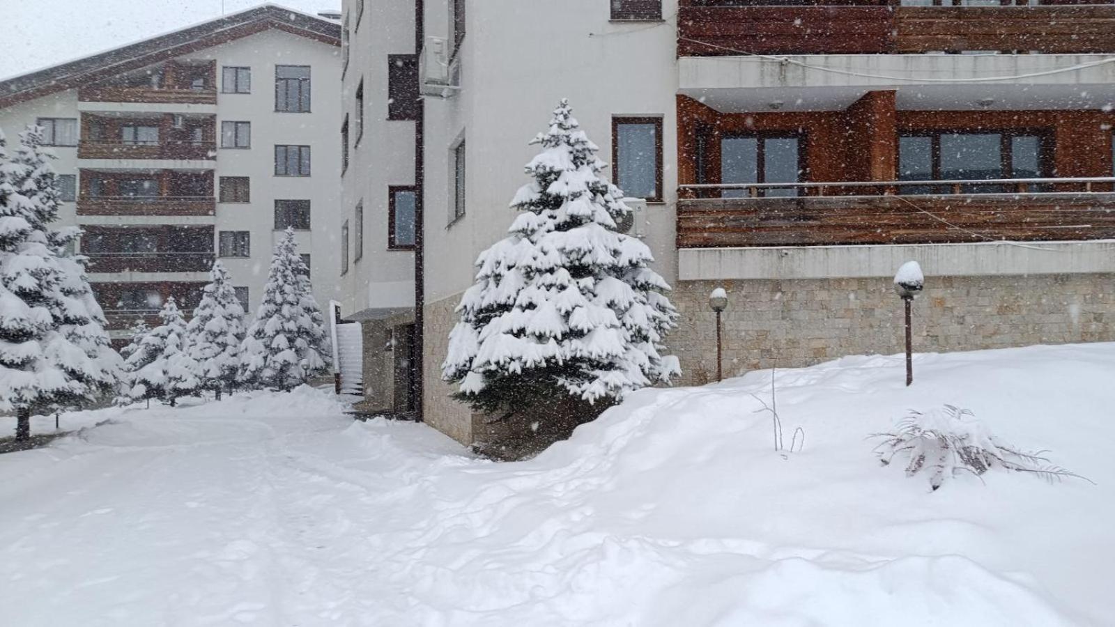 Studio Detelina Residence Bansko Eksteriør billede