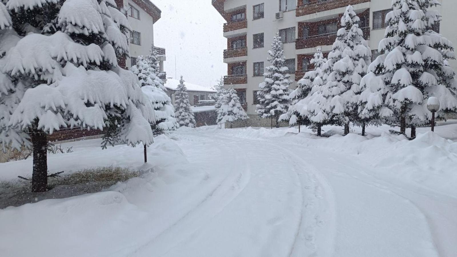 Studio Detelina Residence Bansko Eksteriør billede