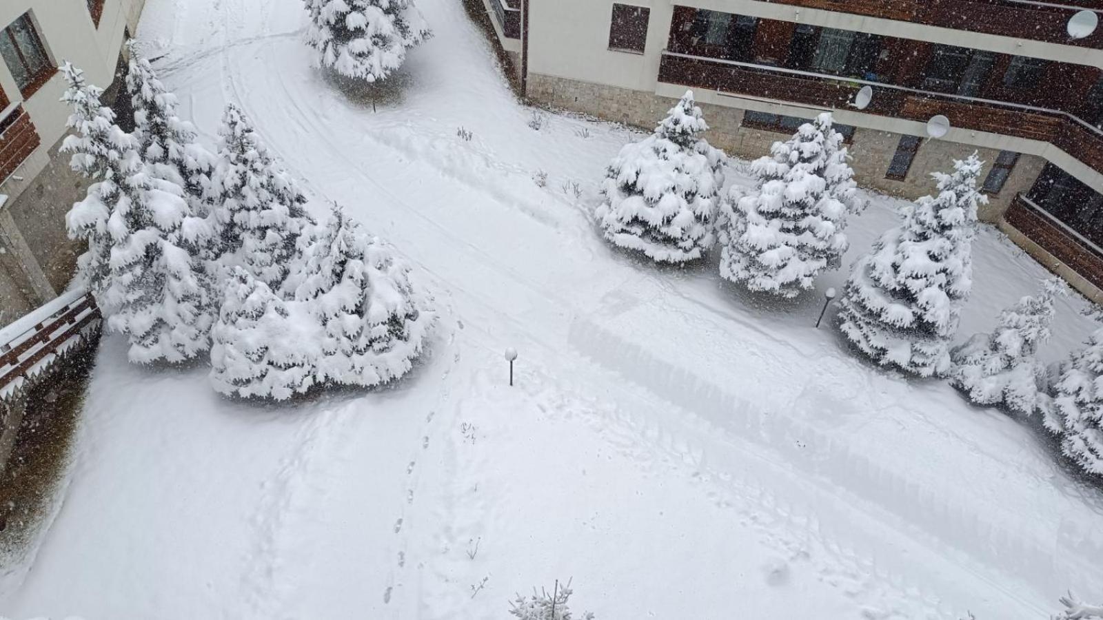 Studio Detelina Residence Bansko Eksteriør billede
