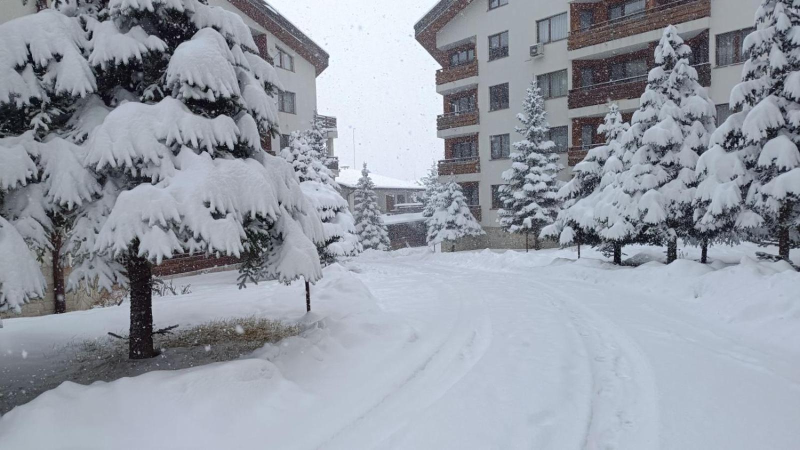 Studio Detelina Residence Bansko Eksteriør billede