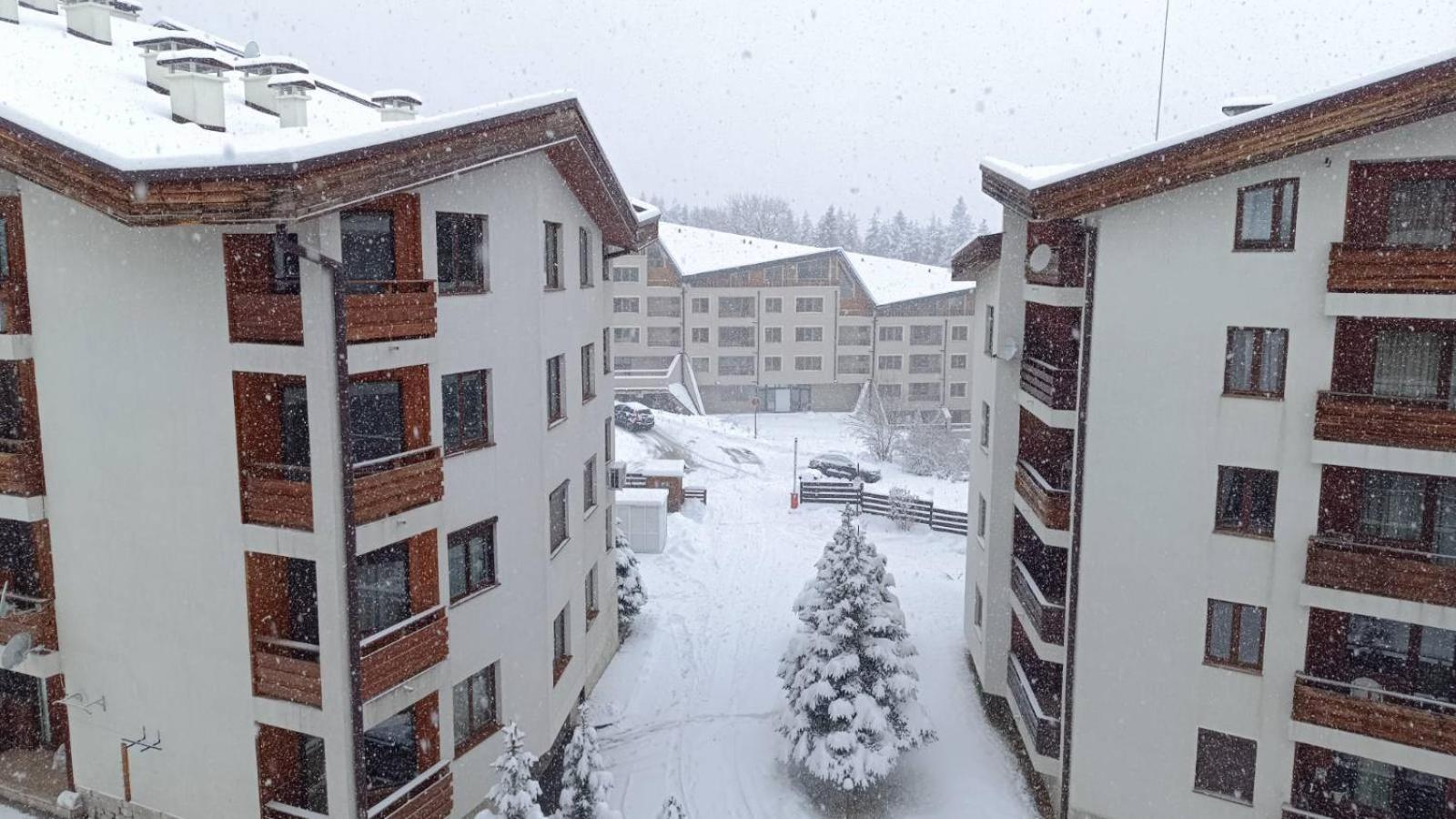 Studio Detelina Residence Bansko Eksteriør billede