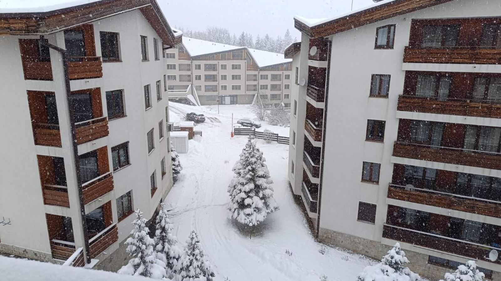 Studio Detelina Residence Bansko Eksteriør billede